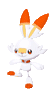 Scorbunny-SS.gif