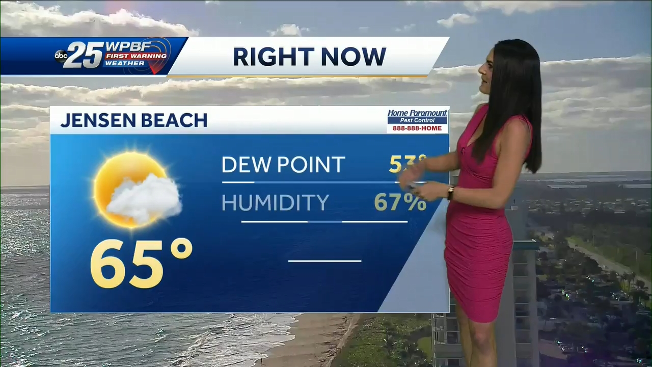 12.23 - 14.00.00 - WPBF 25 News at 9 00 AM..ts_snapshot_00.09.02.929
