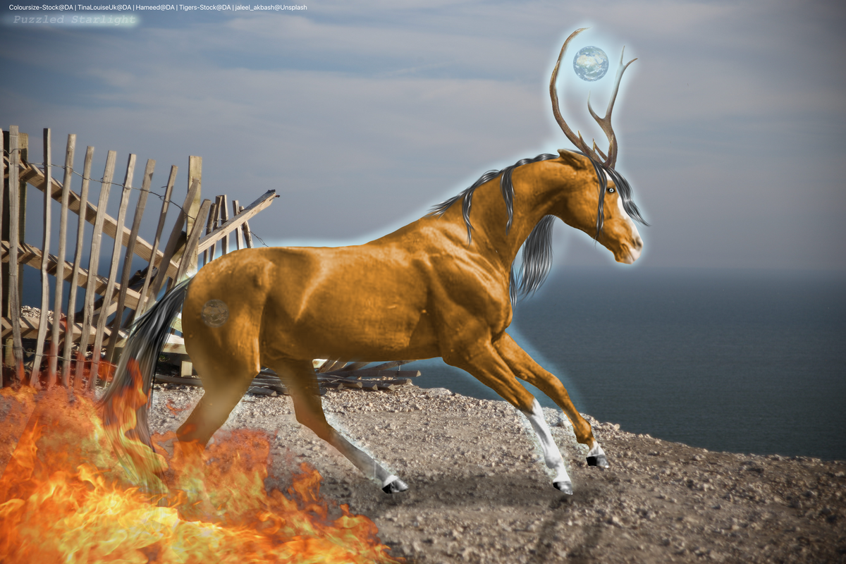 R1T3-Puzzled Starlight