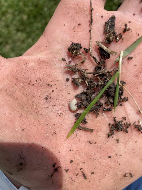 AEEE2DFC-7783-4FFC-A50C-0CE1583E457C