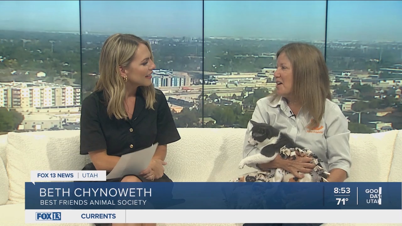06.09 - 15.00.00 - FOX13 News  Good Day Utah 8AM  ᴺᵉʷ. Utah news, wea....ts_snapshot_54.54.619