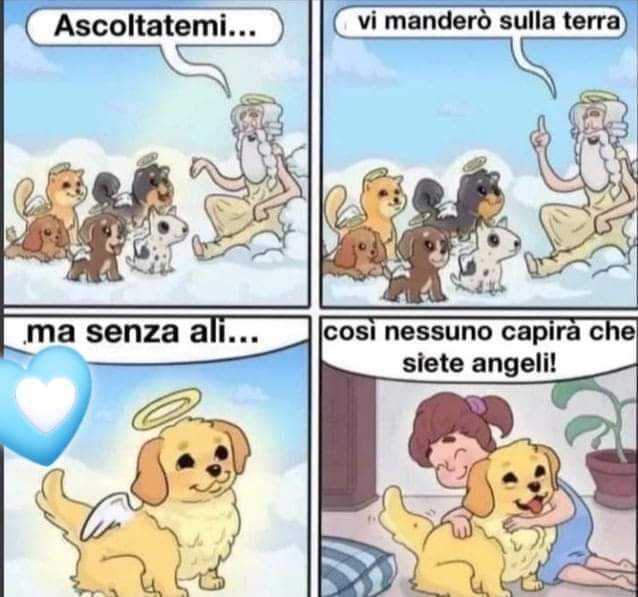 FB_IMG_1689742489841