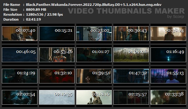 Black-Panther-Wakanda-Forever-2022-720p-Blu-Ray-DD-5-1-x264-hun-eng-mkv.jpg