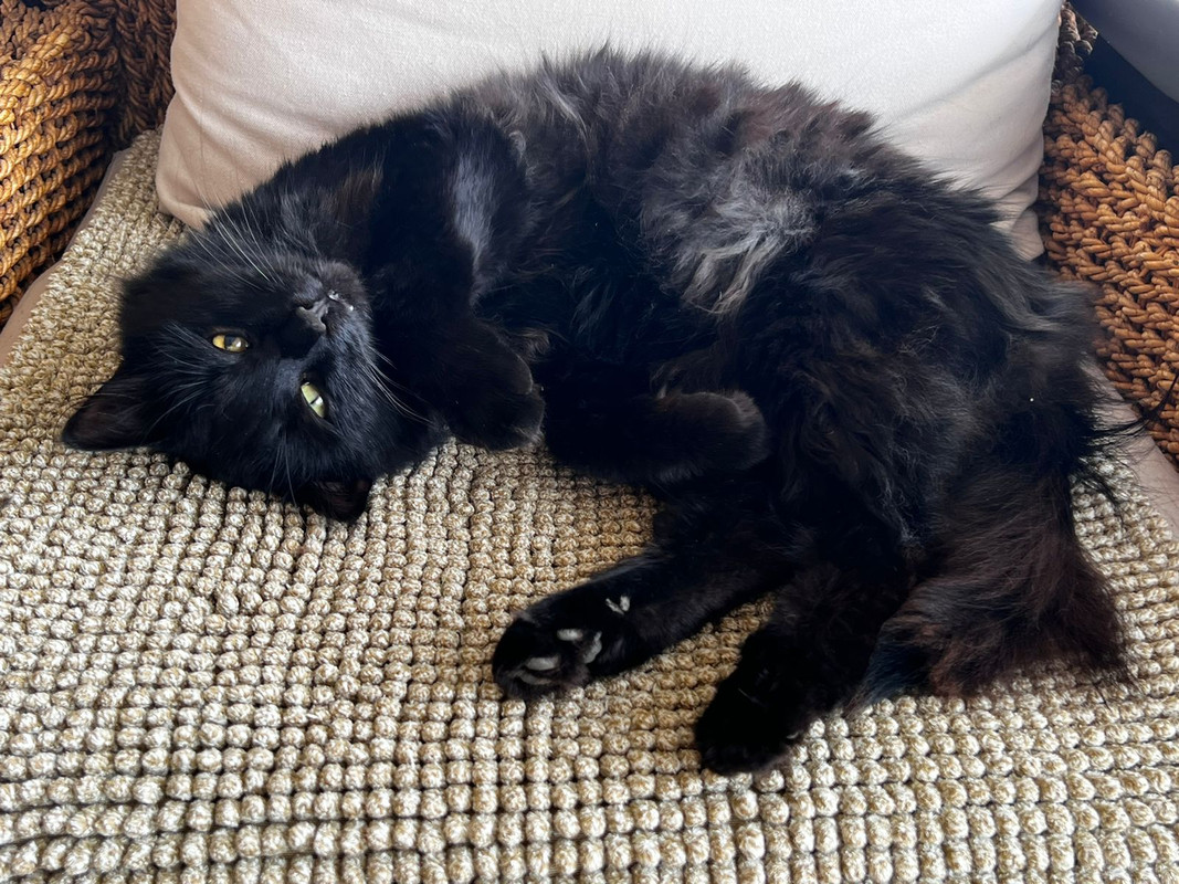 0C9E0A83-50DB-4925-AF08-DD036EBB3619