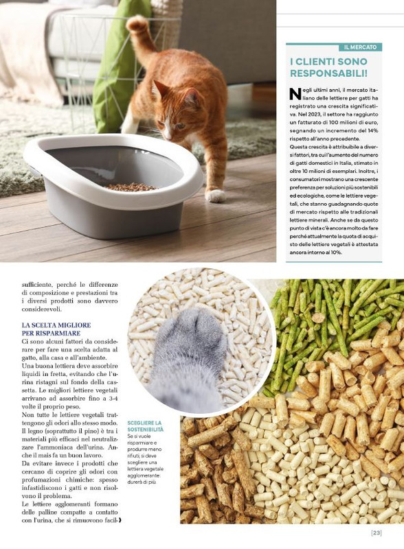 Ga Ma Giu-Lug 2025 (4)