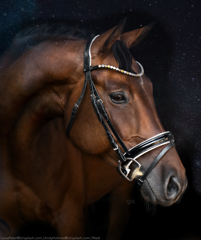 36343297-5888-4DAE-9ABE-7F7A94676538