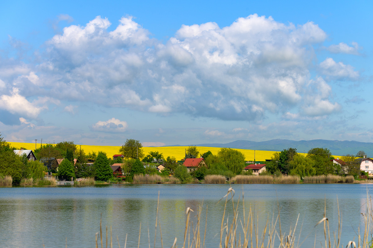 Obrázek