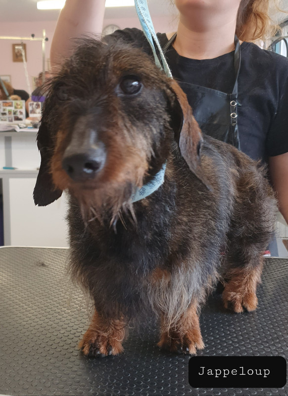 [Image: 20220512-170126.jpg]