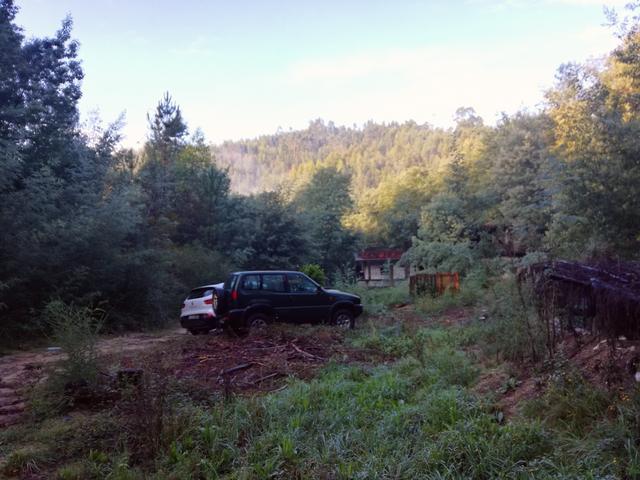 IMG-20191020-124214.jpg