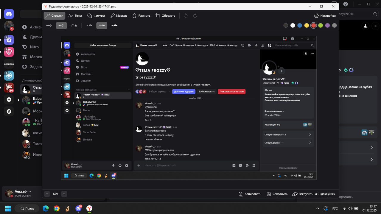 Снимок экрана 2025 12 01 231736