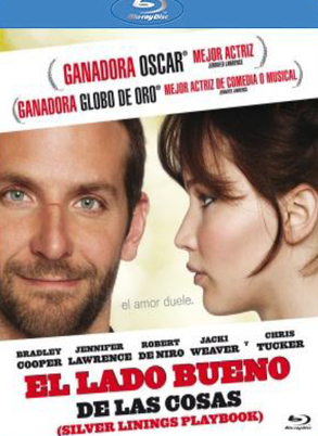 EL LADO BUENO DE LAS COSAS [2012][HDRIP][castellano][mkv] - Guns's Cave