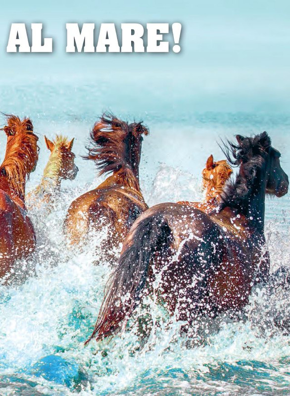 Il Mio Cav (Lug 2022) 2