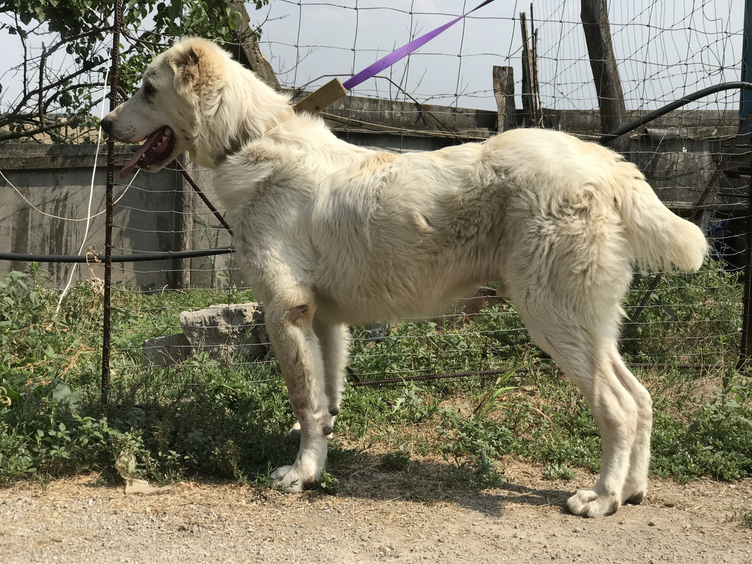 5E903EF3-8980-4CBB-B1BB-398FAF662500