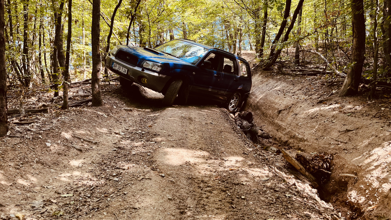 47F13072-1D56-41BD-9CDC-0E89E0919A2B