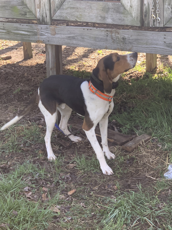 EE9DF361-5304-457C-84DA-5D1913E1B040