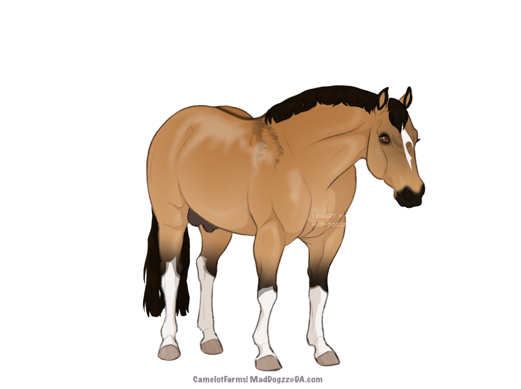 B1611B29-7421-406B-B683-B9A982F72866