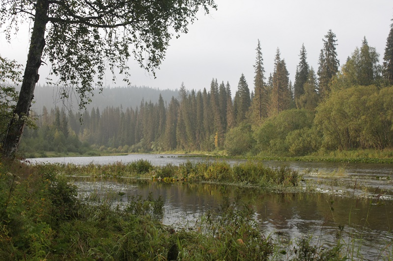 Хорошее утро