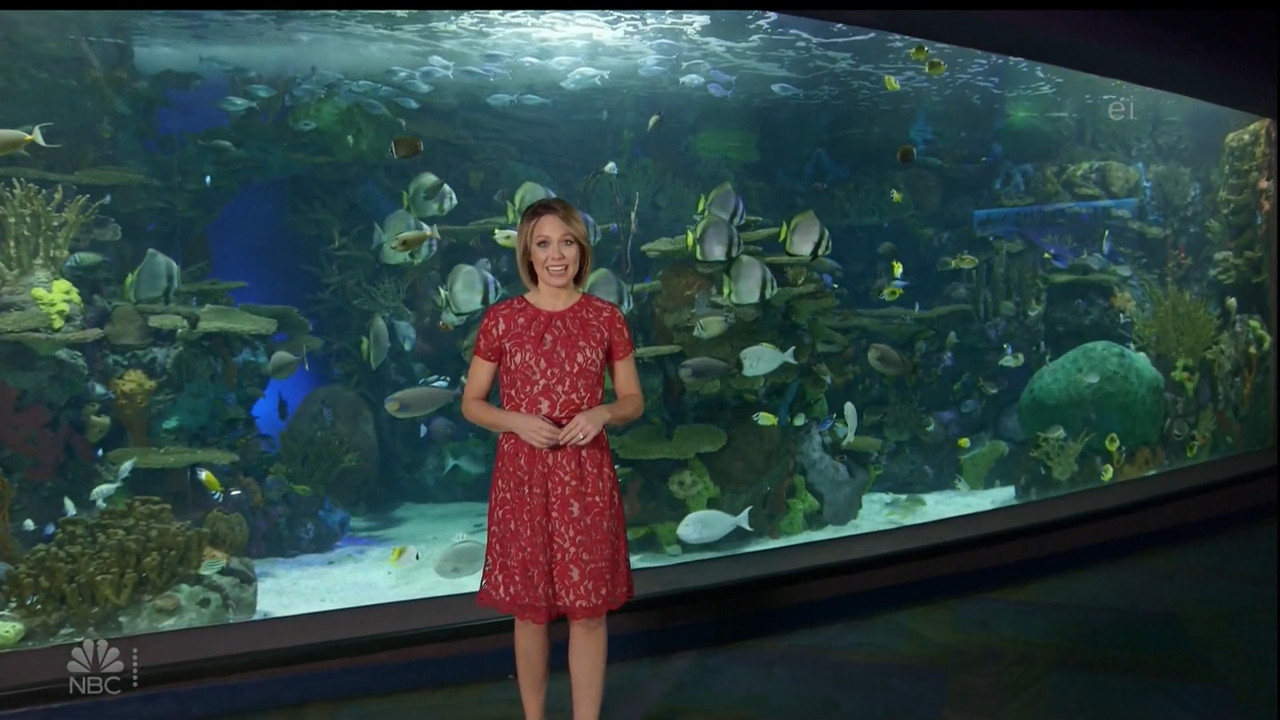 11.07 - 15.00.00 - Earth Odyssey With Dylan Dreyer. The world's smart....ts_snapshot_01.05.19.681