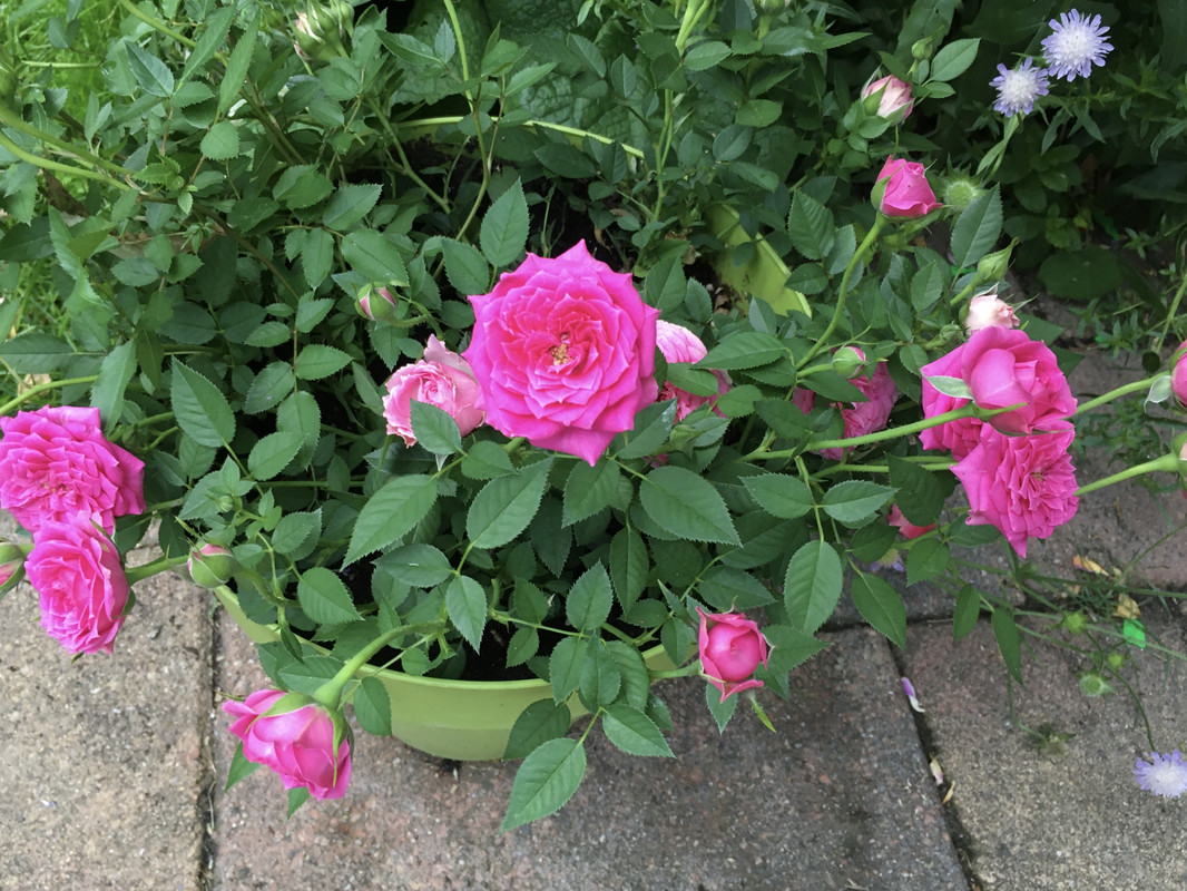 3718A5AF-D609-4822-A666-76FDA4B74074