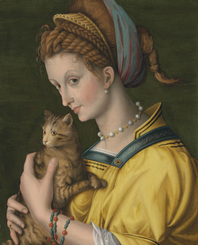 Bacchiacca-Portrait-of-a-young-lady-holding-a-cat