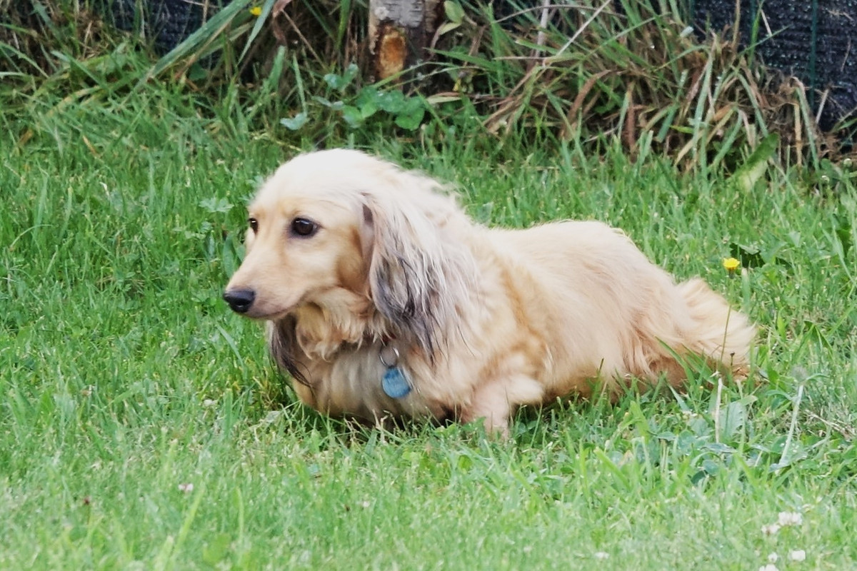 [Image: Norma-5.jpg]