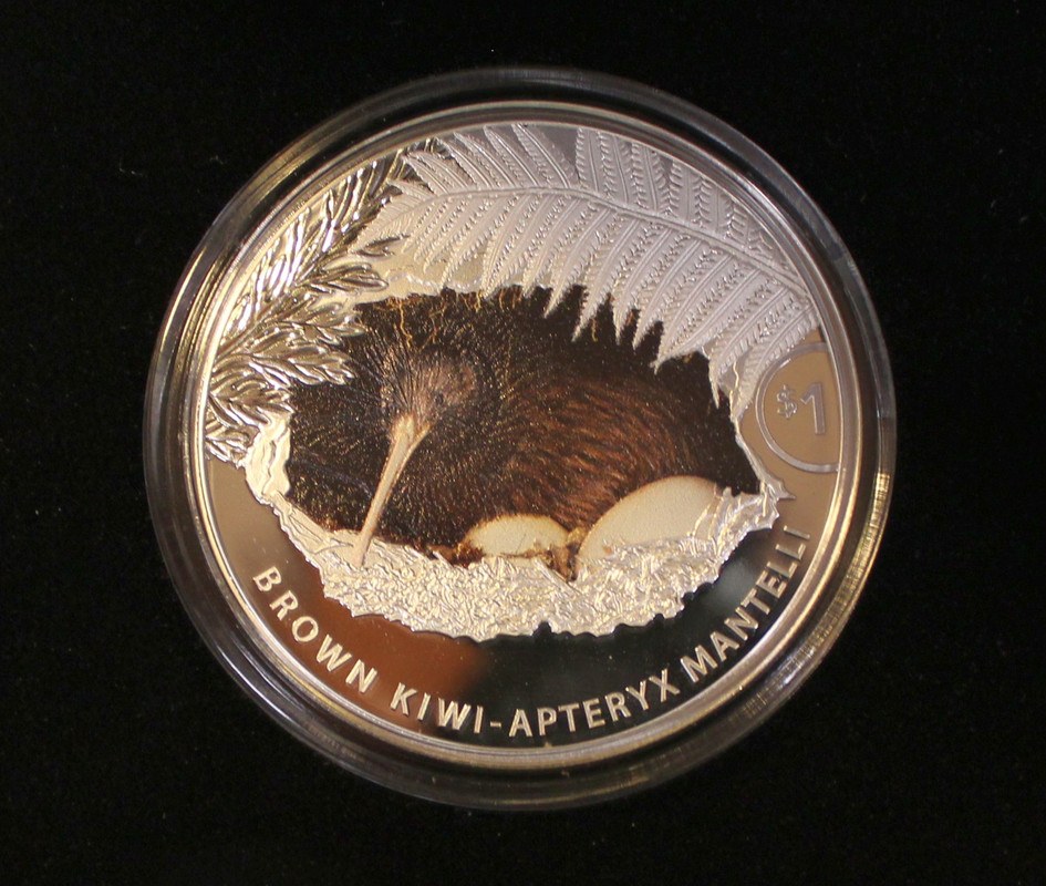 NLZ-Kiwi-2021-PP-B