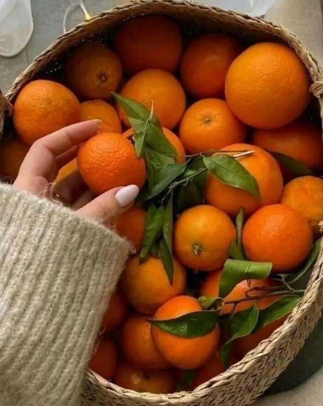 мандарины1ааа