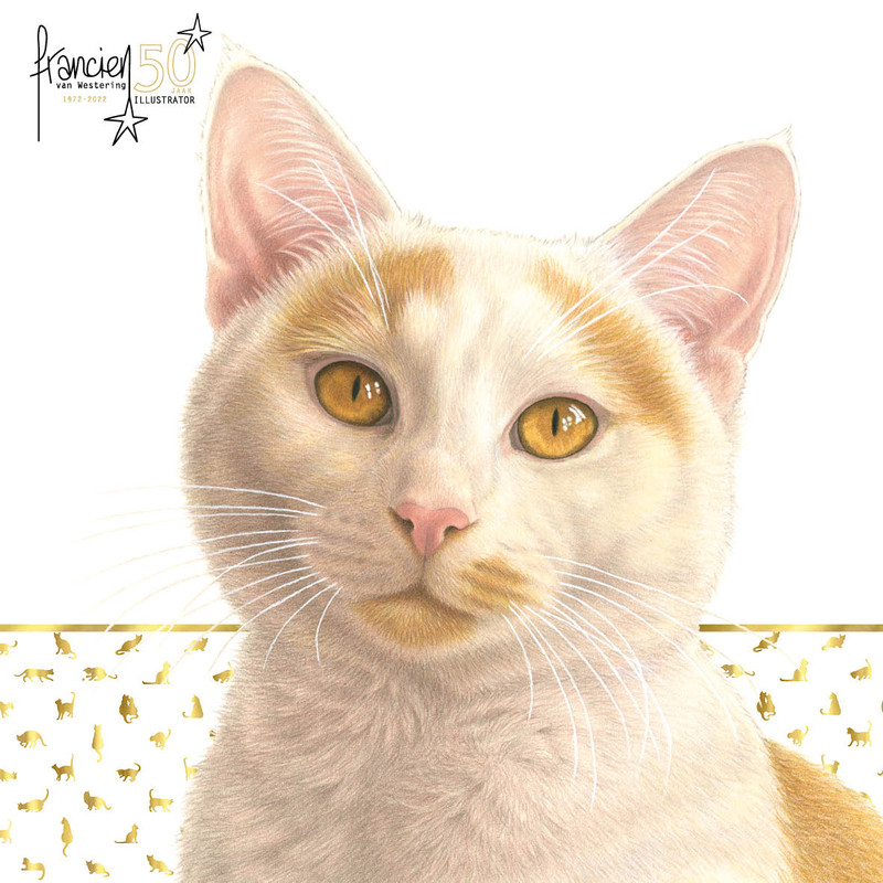 01-316053030-850481889768764-5768461086567790454-n