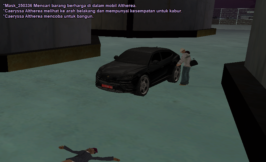 SS-an-cae-10.png