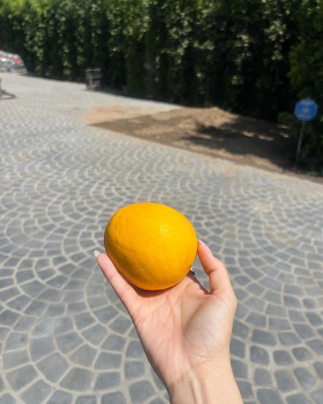 prayalundberg-1717248463-3380847614739593151-3244161