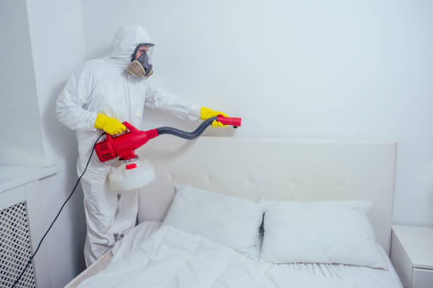 London Bed Bug Control