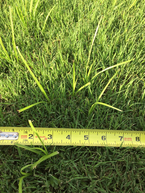 9EADB29B-8E53-4445-A0B3-D9B980C373BE