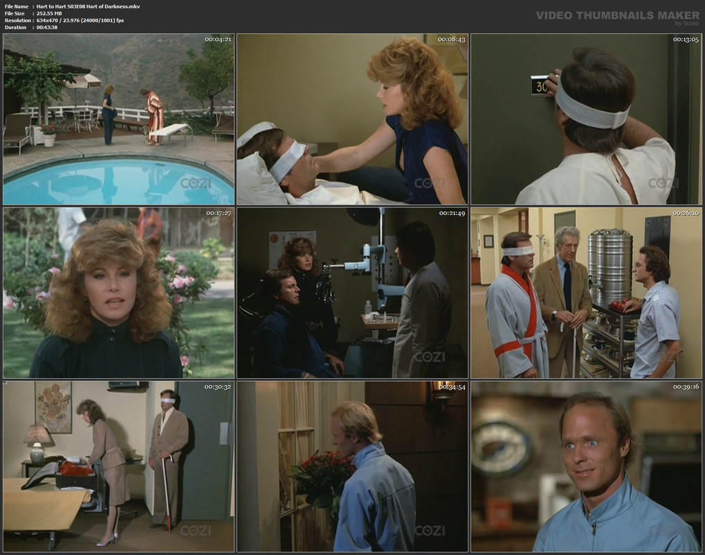 Hart to Hart S03E08 Hart of Darkness.mkv