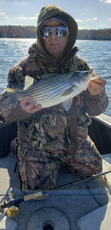 CB2FD23F-B8A5-4DB8-8349-FF5DAB96A602