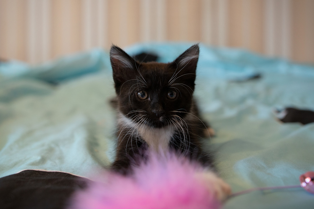 26F9467A-4A5C-41B8-80C2-FD3FAB11287B