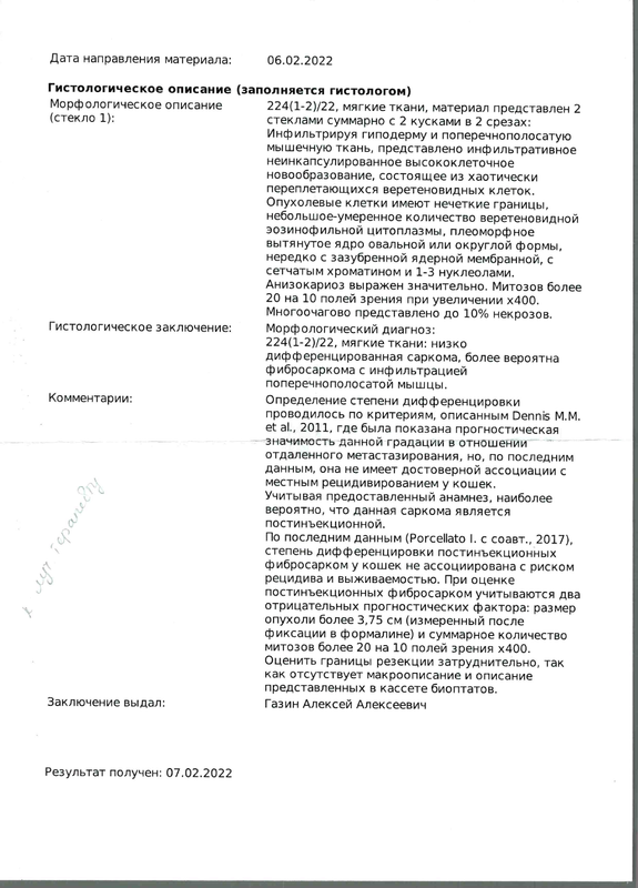 Гистология 2стр.