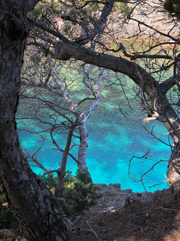 AEC4AFE5-ED76-46A6-8658-C822B64968D4