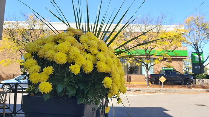[Image: 20211027-140611.jpg]