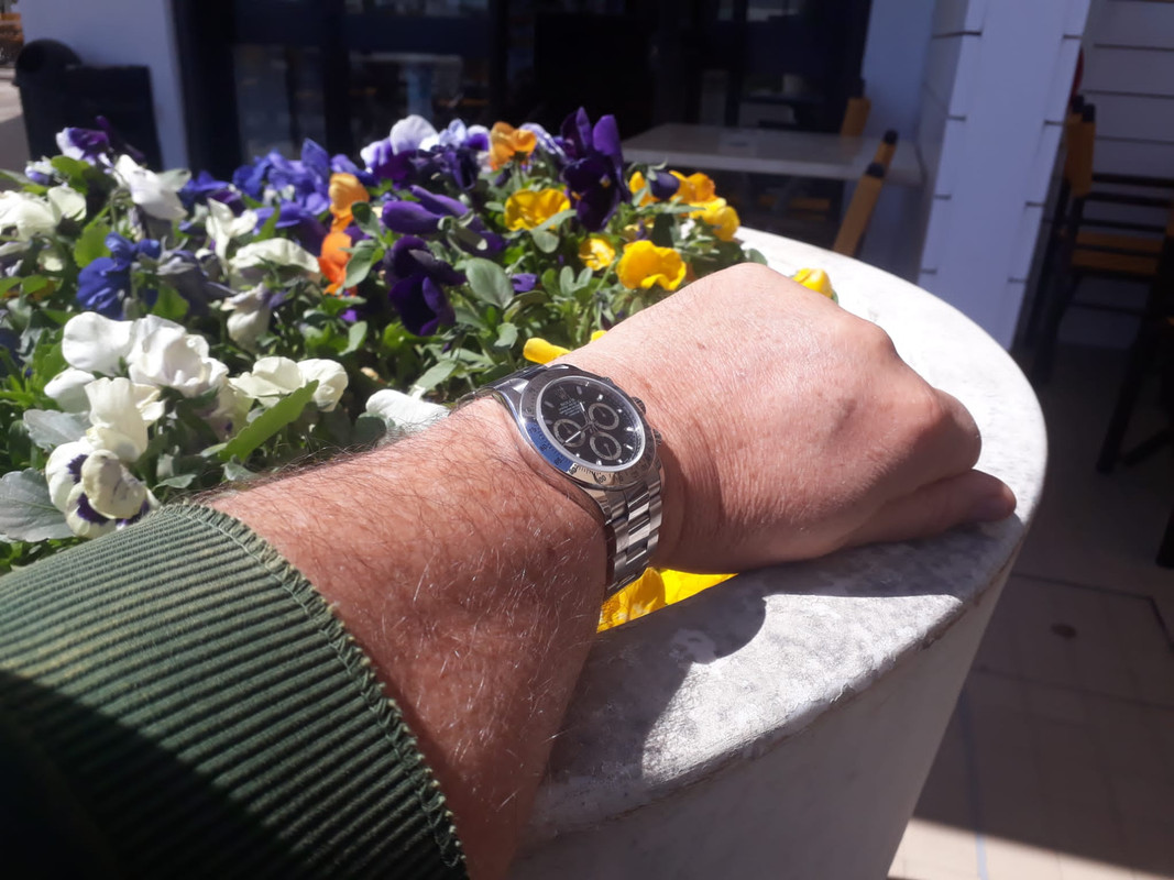***** La Rolex du jour - vol.37 ***** - Page 8 IMG-20220418-WA0021