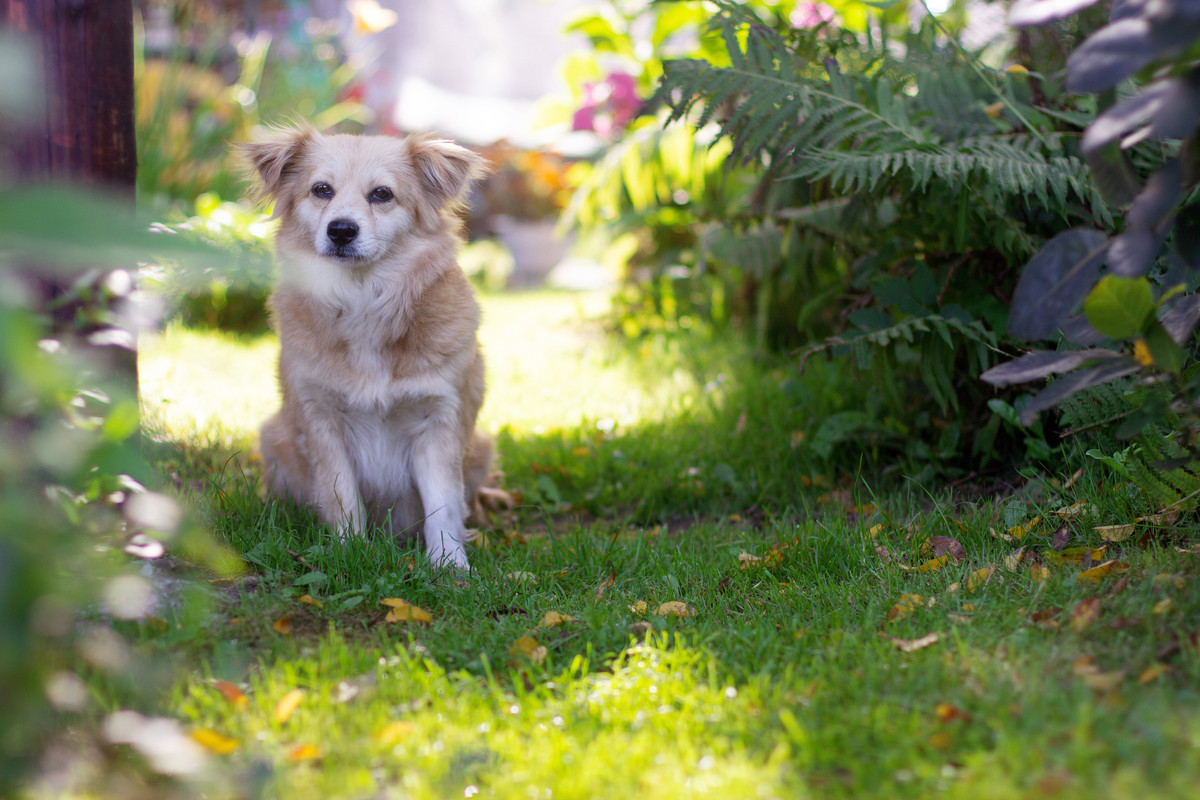 IMG_9967копия (1)