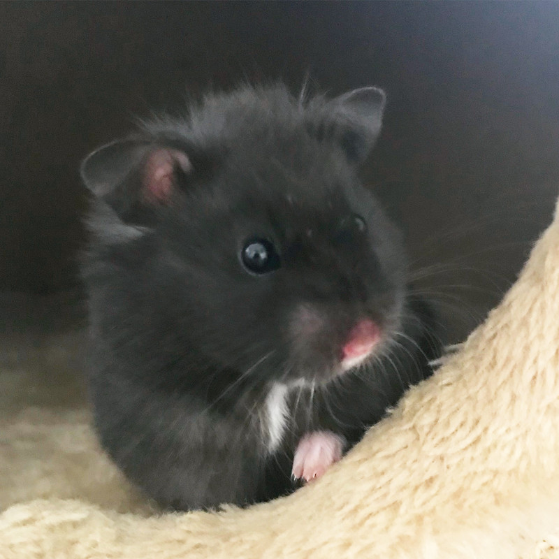 8FAD8D52-6D8B-449F-A52D-C175A98098B1