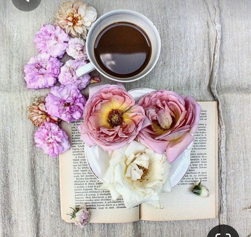 Screenshot_20230819_225616_Pinterest