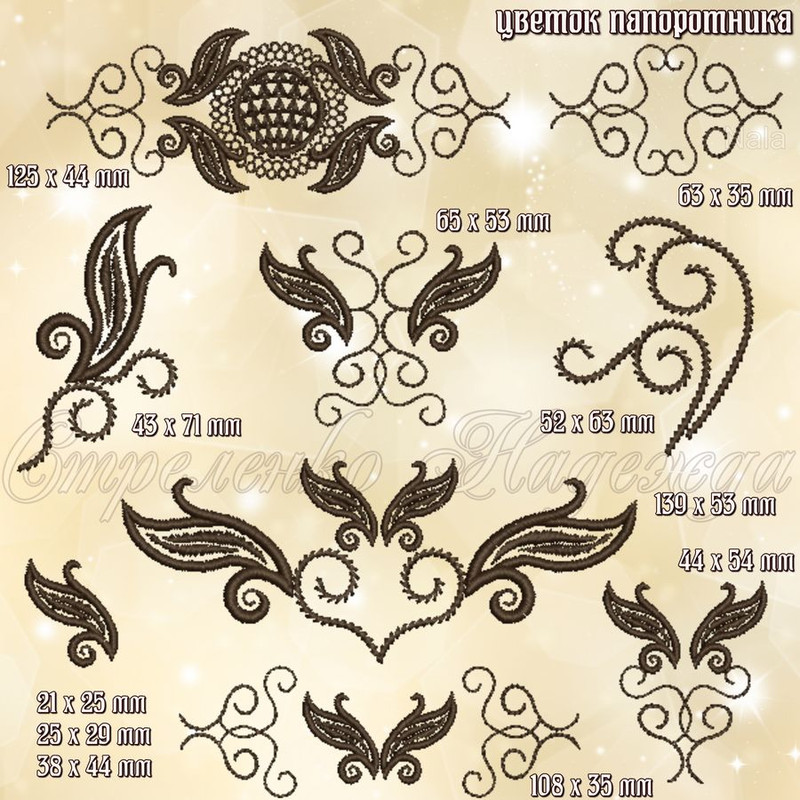 цветок папоротника1