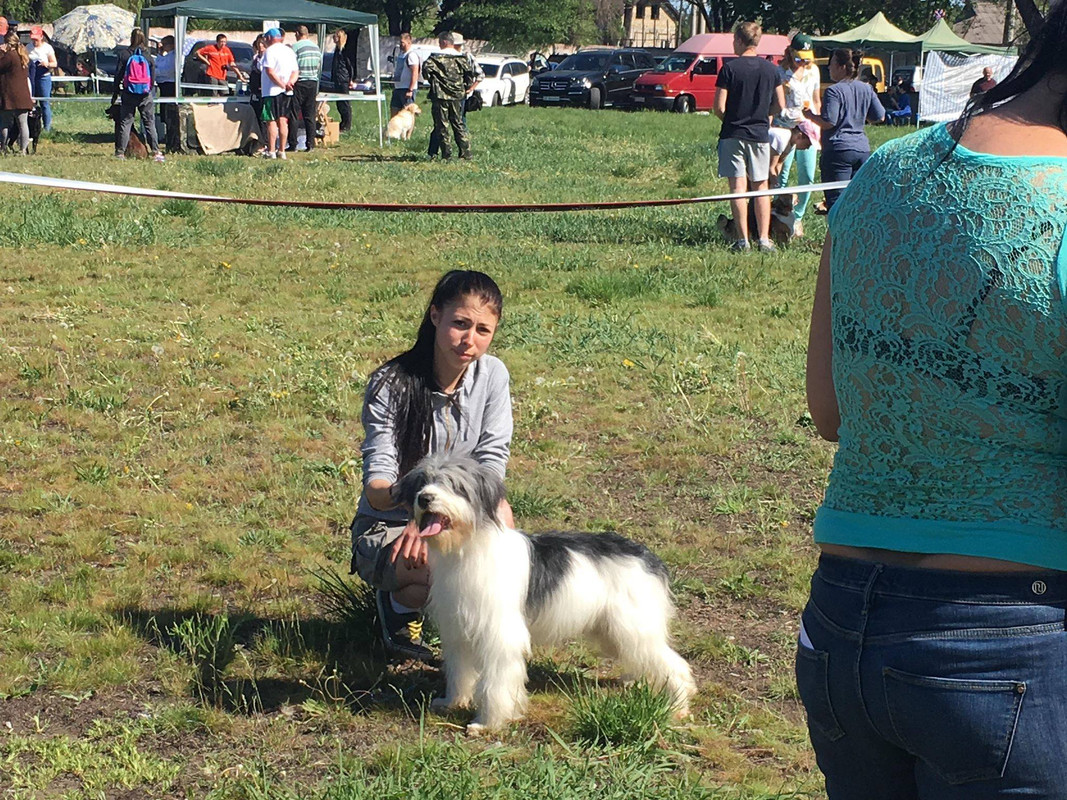 31747941_1623285474434773_3563819237787041792_o (1)