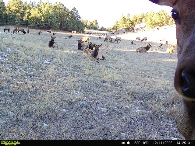 1-EFB8217-A8-C8-4026-AA9-F-4-B1707-E77-E