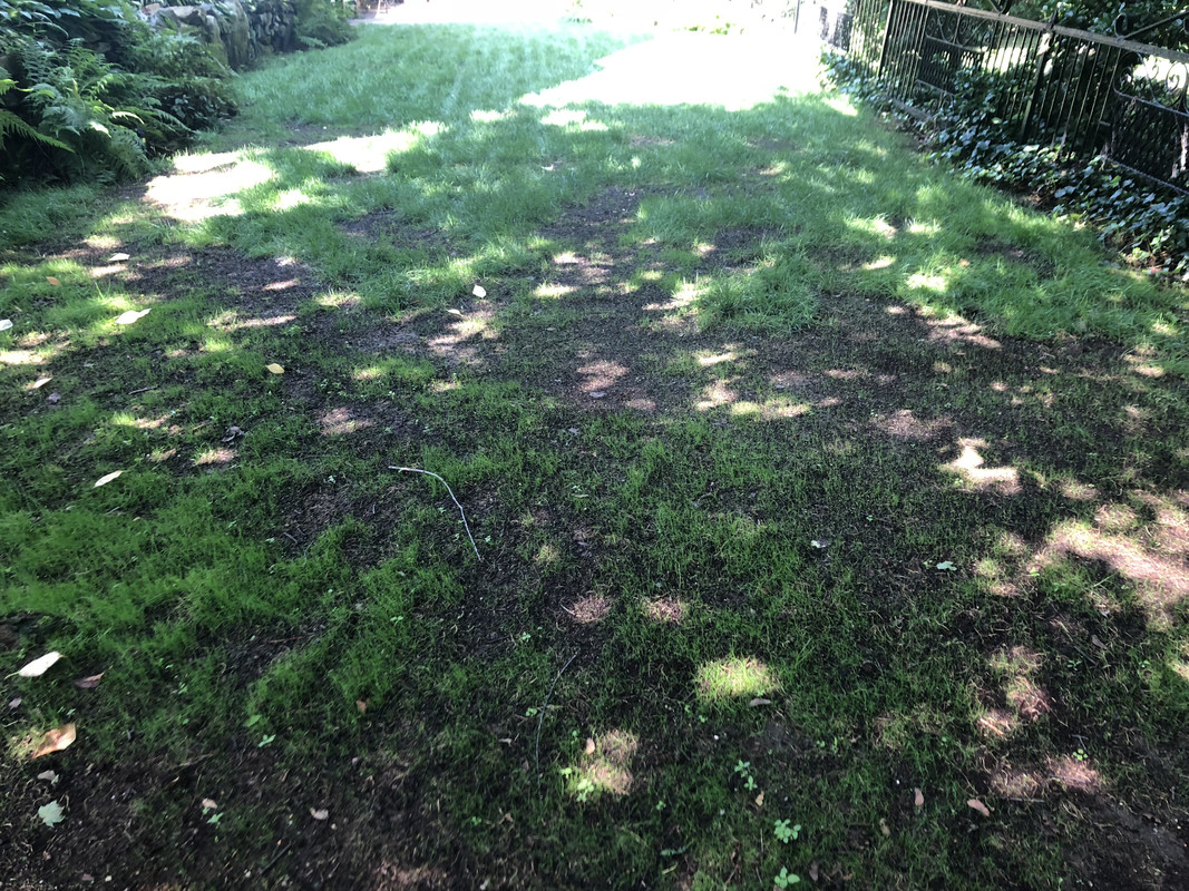 4103EF8D-57A3-44E2-8442-4A1B3ACD9DD8