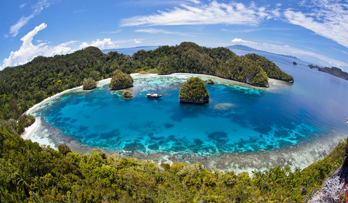 Mau Liburan Beda? Coba ke Taman Nasional Teluk Cenderawasih
