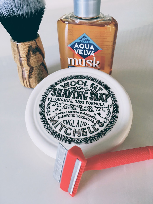 [Image: 211112-Sot-D-Triceratops.jpg]