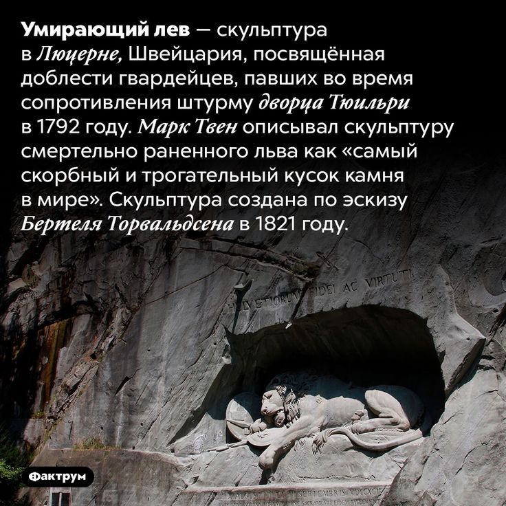 [Изображение: 31f0ac98741799cd9fb9995a77013ebc.jpg]