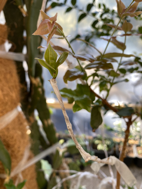 1748D41B-D0F8-434E-A0FD-46353B47ED3D